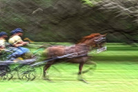very blurry horse pulling cart (1)
