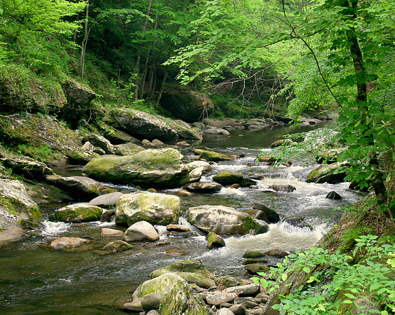 Stream 1