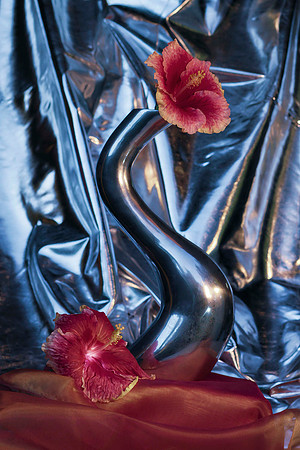 hibiscus with silver vase se