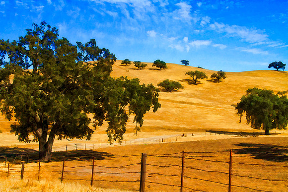 oaks on hillside se