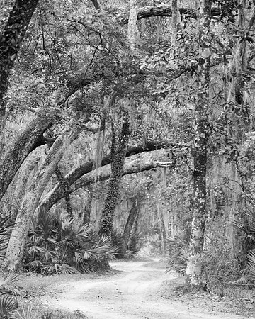 eagles nest trail