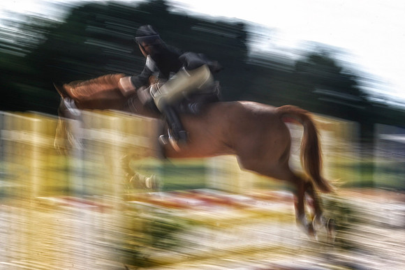 blurry horse 1