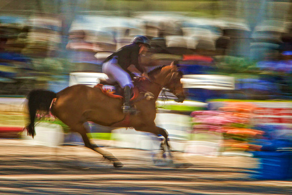 blurry horse with cluttered background se