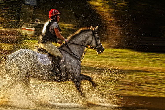 horse in water