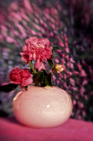 camelias with pink vase se