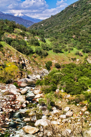 sequioa mountains se