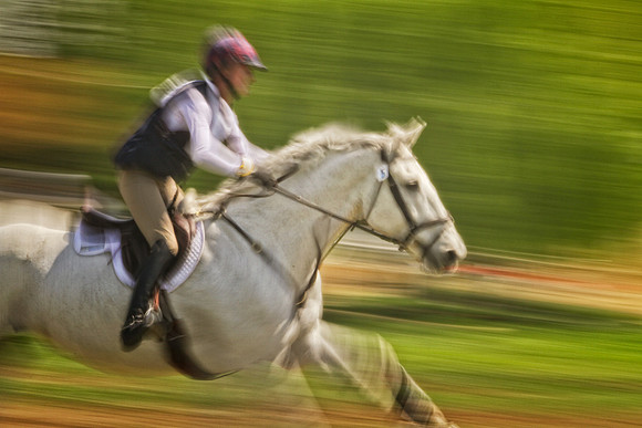 white horse running