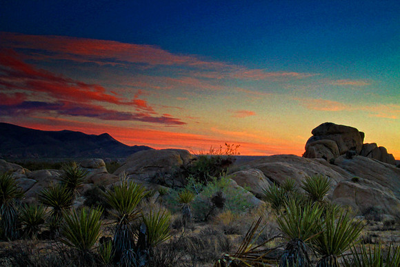 joshua tree sunset 2 se