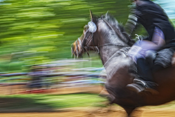 horse running close up