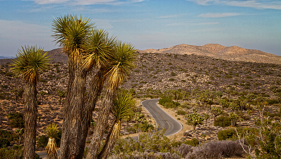 road from viewpoint