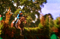 brush jump se