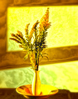 Goldenrod