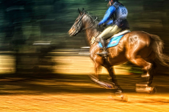 blurry horse running