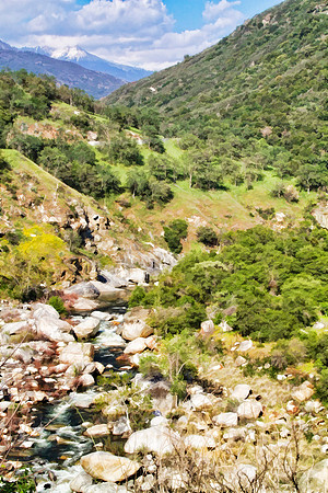 sequioa mountains se