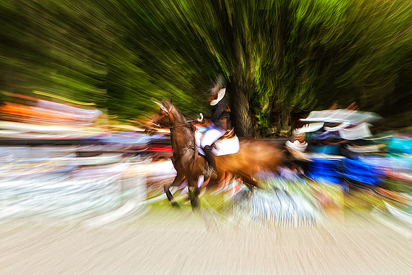 dark bay horse running se