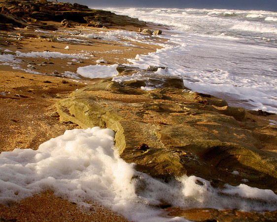 washington oaks horizontal