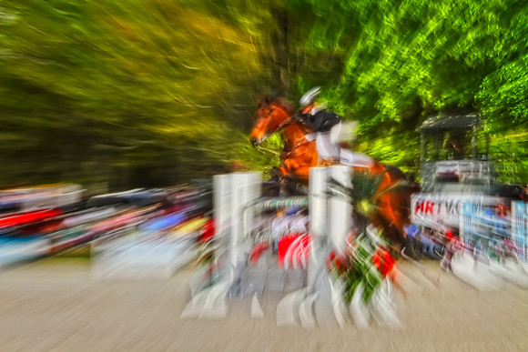 horse with hrtv in background se