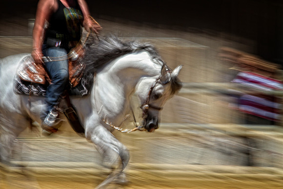 woman on gray arab se