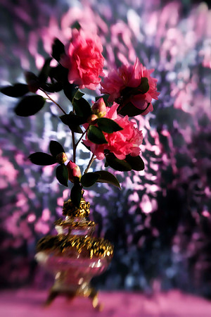 camelia with antique vase se copy