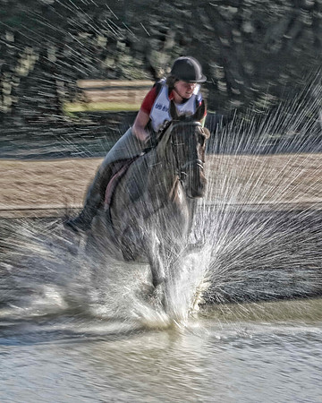 horse in water with slow shutter cropped