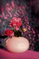 camelias with pink vase