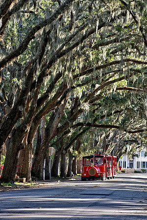 oaks with trolly
