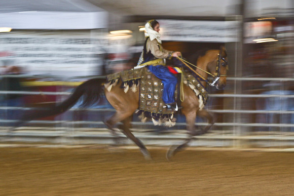 bay costume horse