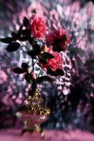 camelia with antique vase