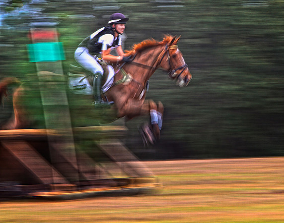 chestnut over jump cropped