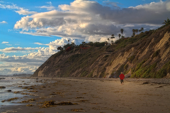 woman with white dog on beach