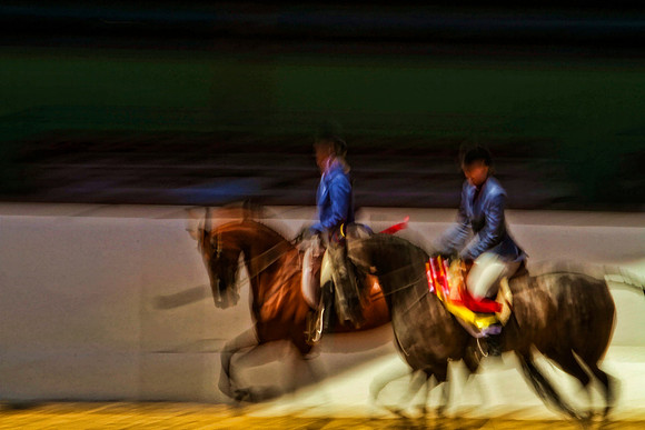 two blurry horses se
