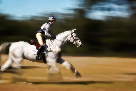 blurry white horse se 2