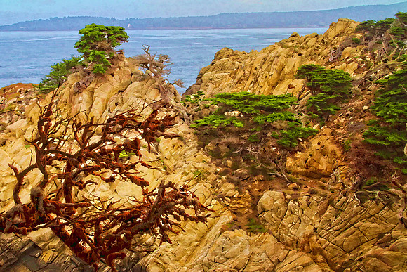 tree with orange moss se