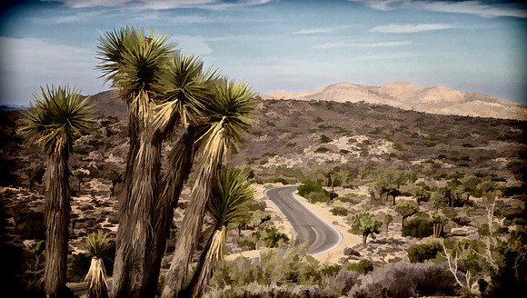 road from viewpoint se