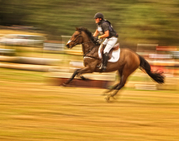 horse running with colorful background se