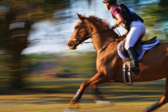 chestnut slow shutter se