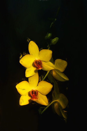 yellow orchids se 2_Painting