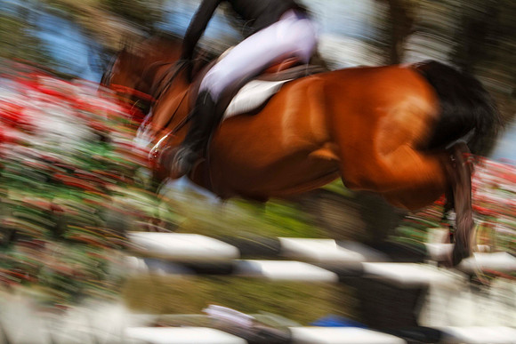 close up of jumper from behind