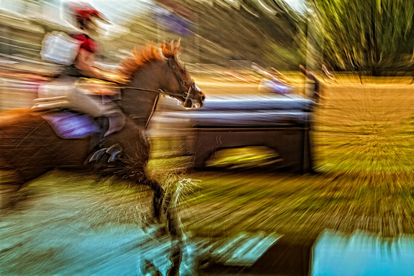 blurry horse in water se