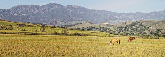 two horses with mountains