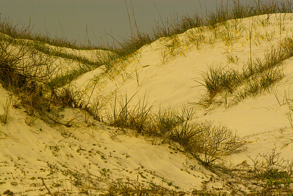 sand dunes