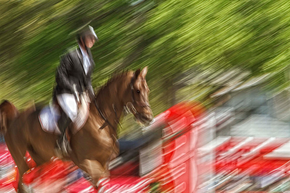 chestnut with red jump