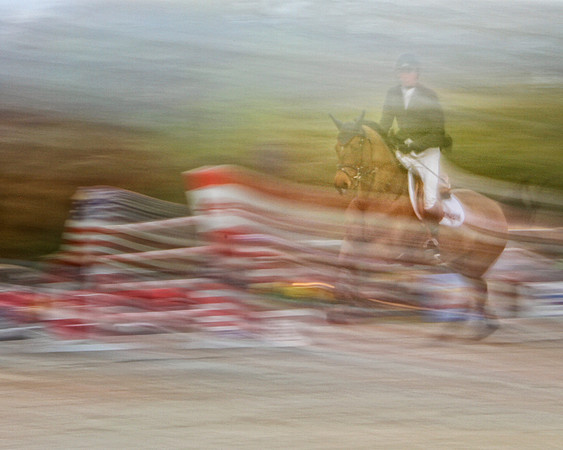 horse with flags