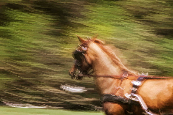 blurry chestnut se