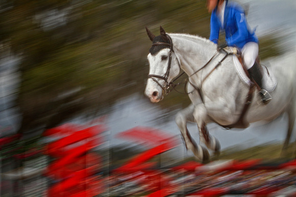 woman with blue blazer and white horse