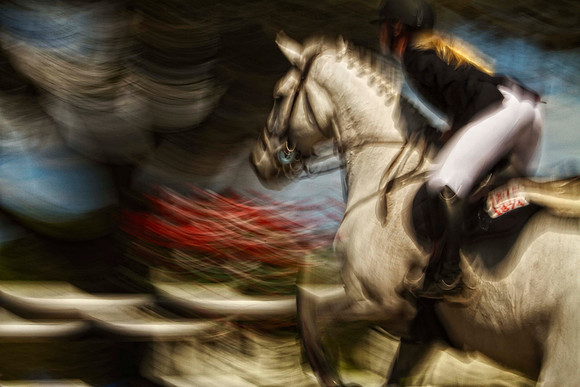 white horse close up from the back