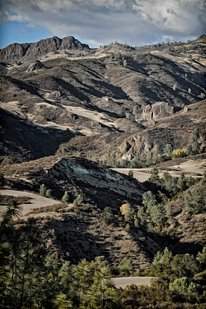 entrance to forest on Happy Canyon road se