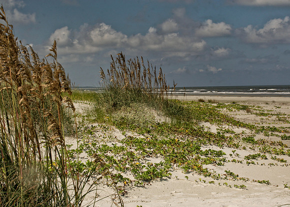 beach