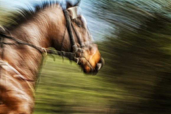 close up head shot