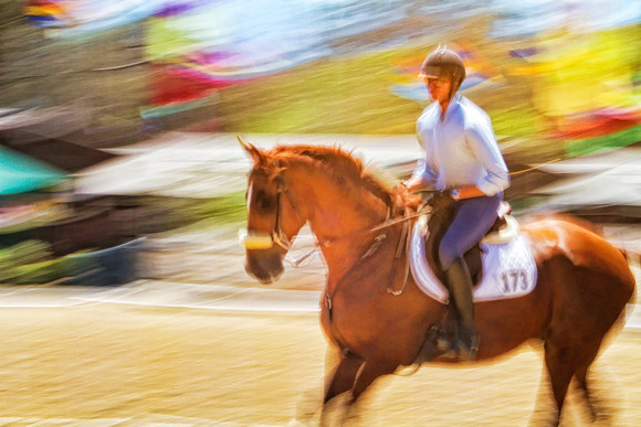 hunter with hackamore se